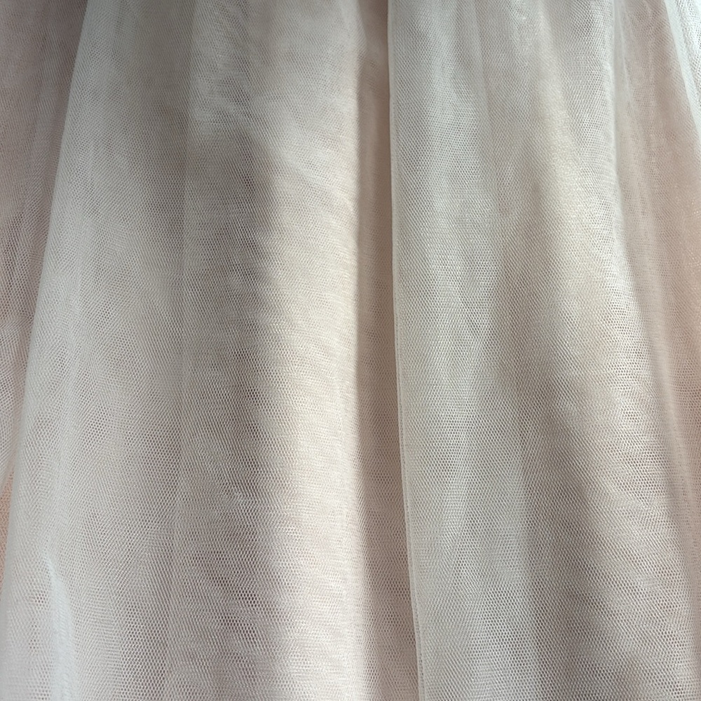 Abercrombie &Fitch Tulle Skirt - Picture 10 of 10